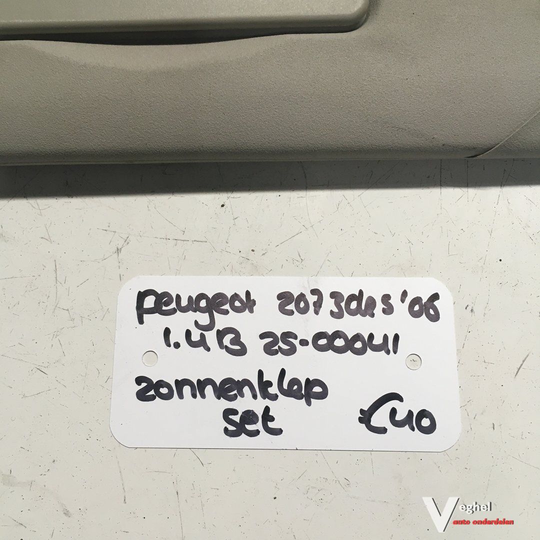 Peugeot 207 3drs 1.4 B 2006 2500041 Zonnekleppen set sun visor left and right usado en Menorca