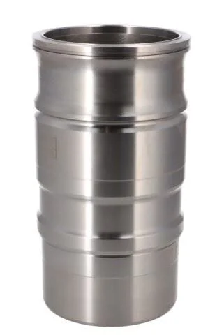 CILINDERVOERING SC GOETZE 1868157