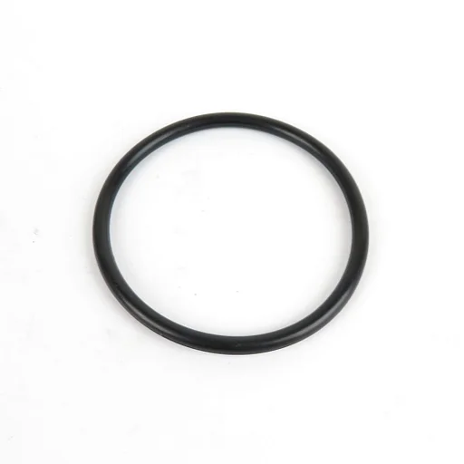 DAF  XF106 13- OE O-RING WATER PUMP 2022929