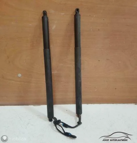 Spindelaandrijving achterklep BMW X2 F39 ('18->) 7423847