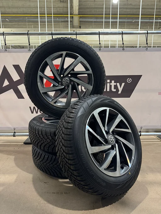 Winterset Volkswagen Tiguan en Sharan 215/65R17