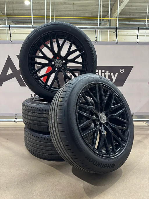 Complete zomerset AXE EX30T 225/55R19