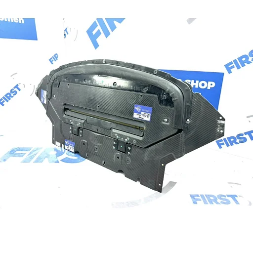 W190 C190 AMG GT GTC GTS GTR CARBON MOTOR AFDEK PLAAT ORIGINEEL CARBON A1905201100 A1905200600 A1905201100 Mercedes AMG GT 63 2014-2025 CARBON MOTOR BESCHERM PANEEL