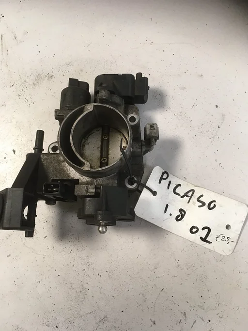 Citroen Picasso 1.8 2001  Gasklephuis
