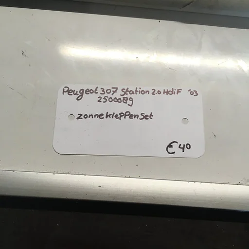 Peugeot 307 Station 2.0 hdi 2003 Wagennr 2500089  Zonnekleppen set