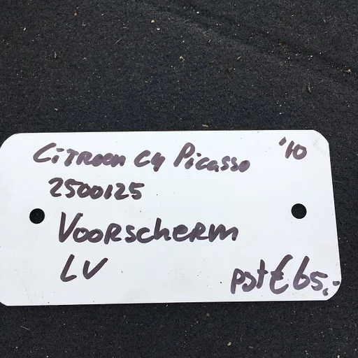 Citroen C4 Picasso 1.6 automaat 2010 2500125 Voorscherm Linksvoor of Rechtsvoor