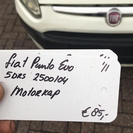 Fiat Punto EVO 5Drs 2011 2500104   Motorkap