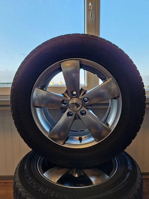 Volkswagen Tiguan Winterwielen