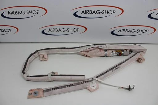 Volkswagen VW T-Roc 2GA Dakairbag Links 2GA880741E /F /G