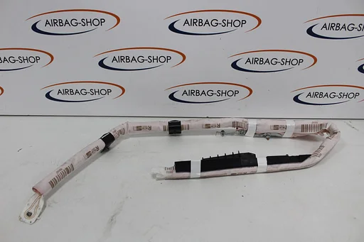 Seat Arona Hemel airbag dakairbag Links 6F9880741G