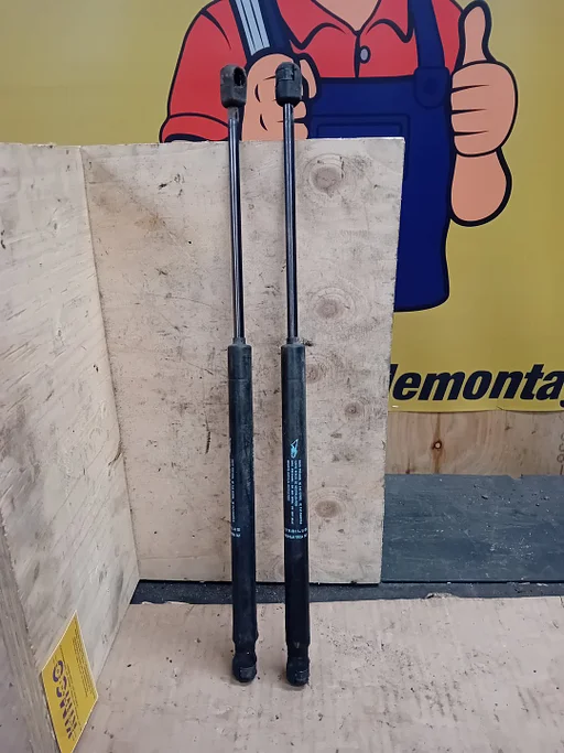 Gasveren achterklep Citroën C3 2003