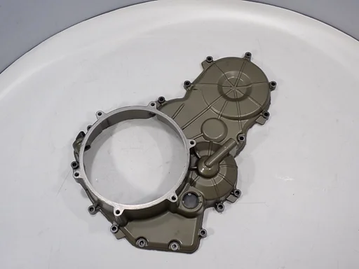 carterdeksel rechts voor de Ducati Panigale 1199 2012 - 2012 & 1299 2015 - 2018 motordeksel 202599001