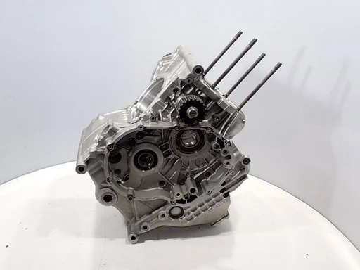 RS zandgiet carters voor de Ducati 1098 RS 2007 - 2009 carter motor blok 202599001