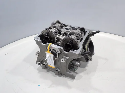 Cylinder head for the Ducati Panigale 1199 2012 - 2014 cylinder head 202599001