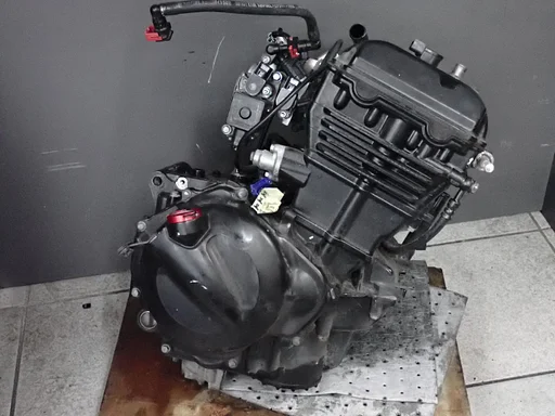 Engine Block for Kawasaki Ninja 250 2008 - 2012 ZX250 ZX 250 Engine 2025012