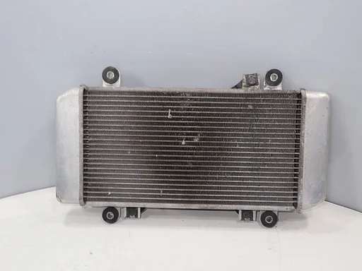 Radiatore per Kawasaki Ninja 250 2008 – 2012 ZX250 ZX 250 2025012