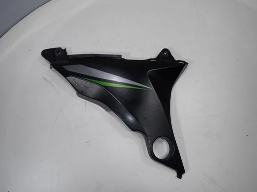 Abdeckung Rahmen rechts für Kawasaki Z800 2012 - 2016 Z 800 Seitenverkleidung rechte Seite 2025015