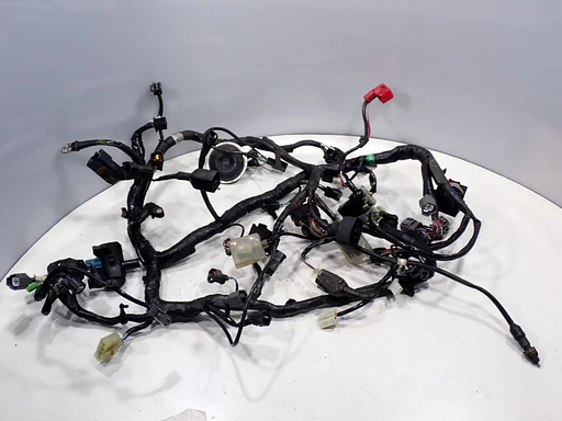 Kawasaki Ninja 300 2013 - 2017 wiring harness loom ZX300