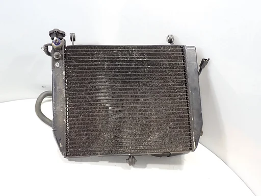 Radiateur voor Yamaha YZF R1 1998 - 1999 radiator koeler RN01 2025030