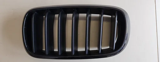 Nier Grille links met zwarte raam en zwarte strepen BMW X5 F15 7316075
