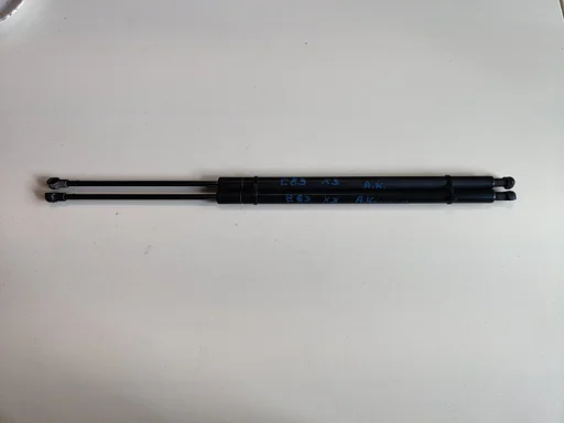 Gasdempers gasveer set voor achterklep BMW X3 E83 3414711