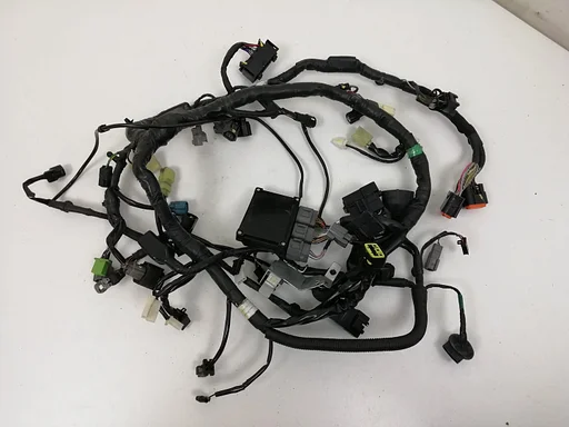 Kabelboom Kawasaki Z300 ABS ER300A 2018 draadboom kabel boom