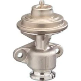 Mercedes 901 902 903 904 EGR Klep Mercedes Sprinter Vito Vario V-Klasse EGR Klep