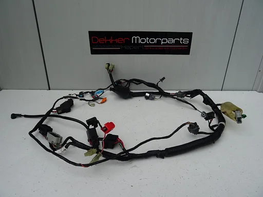 Kabelboom / Wire Harness Honda CBR600FI / CBR600F 2001-2002