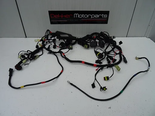 Kabelboom / Wire Harness Ducati Monster 821 2018-2019-2020