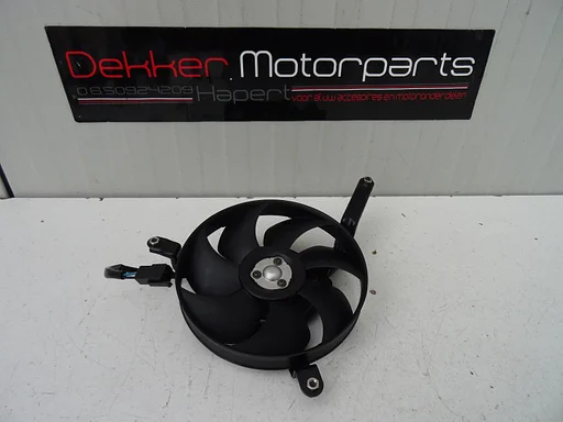 Koelvin / Ventilator / Blower Yamaha YZF R1 2002-2003 RN09