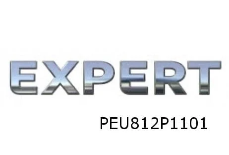 Peugeot Expert embleem tekst ''Expert'' achter Origineel! 98148106VD