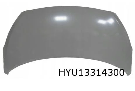 Hyundai i10 (1/14-1/17) motorkap (te spuiten) Origineel! 66400B9000