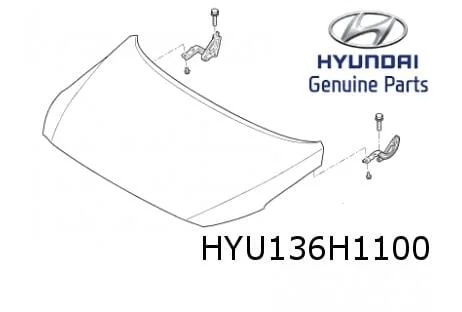 Hyundai Ioniq (10/16-9/19) motorkap (te spuiten) Origineel!  66400G2000