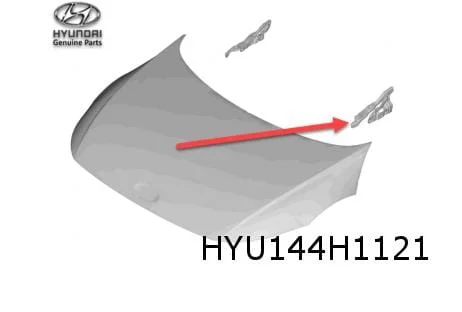 Hyundai Ioniq 5 (10/21-) Motorkapscharnier Links Origineel! 66910GI000