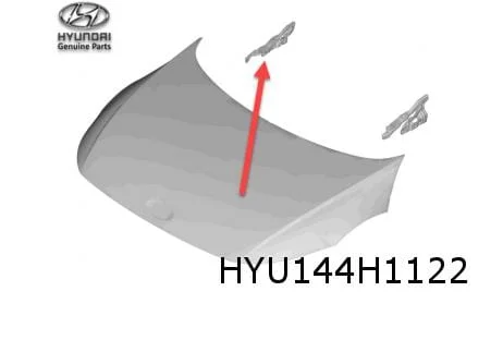 Hyundai Ioniq 5 (10/21-) Motorkapscharnier Rechts Origineel! 66920GI000