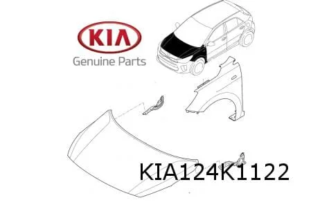 Kia Stonic (10/17-9/20) Motorkapscharnier Rechts Origineel! 79120H8400