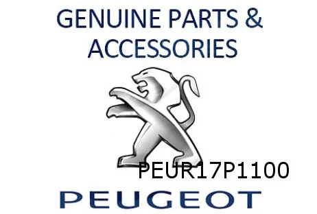 Peugeot 3008/5008 (-1/21) Ruitensproeierreservoir Origineel! 9826400780