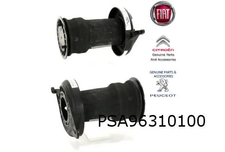Citroën/Fiat/Peugeot Boxer/Jumper/Ducato luchtveringselement Links of Rechts Origineel! 5102W8