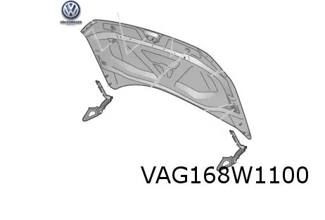 Volkswagen Tiguan/Renault Kadjar Motorkap Origineel! 5NA823031L