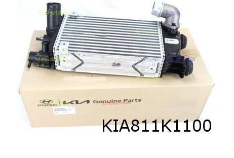 Hyundai Santa Fe (2/21-) / Kia Sorento (9/20-) interkoeler (1.6 Gamma) Origineel! 282702M300