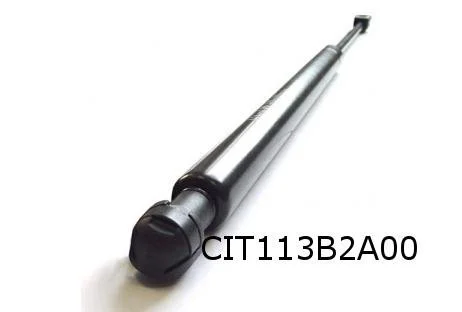 Citroen C5 III (4/08-8/17) Gasveer achterklep (niet bij automatische achterklep) OES! 8731R6