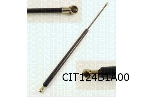 Citroen Xantia (3/93-1/98) (HB) Gasveer achterklep OES! 873197