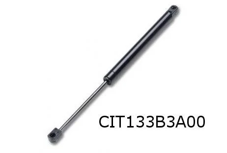 Citroen C3 (3/02-10/10) (ook pluriel) Gasveer achterruit OES! 8731J4