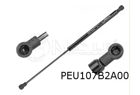 Peugeot 207 (4/06-7/12) SW Gasveer ruit in achterklep OES! 8731P8