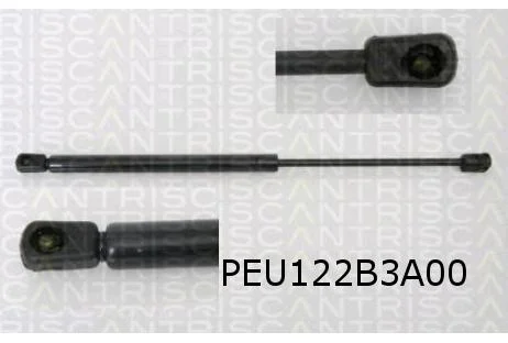 Peugeot 406 (4/99-4/04) Gasveer achterklep Links of Rechts (Sedan) OES! 8731E9