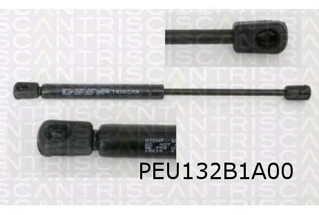 Peugeot 407 Sedan/SW (4/04-4/11) Gasveer achterklep Links of Rechts OES! 8731K4