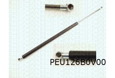 Peugeot 607 (1/01-9/10) Gasveer motorkap Links of Rechts OES! 792516
