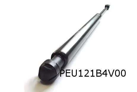 Peugeot RCZ (6/10-5/16) Gasveer motorkap OES! 792526