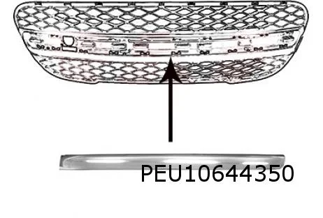Peugeot 107 (2/09-2/12) lijst links op voorbumpergrille (chrome) (lang) Origineel! 7452ZQ