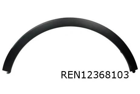 Renault Captur (4/13-1/20) (X87 / QM3) Wielkuiplijst Rechts achter Origineel! 788A20643R